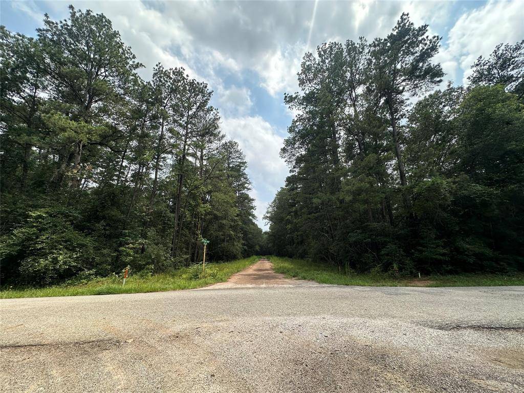 Roman Forest, TX 77357,19&20 Appian Way