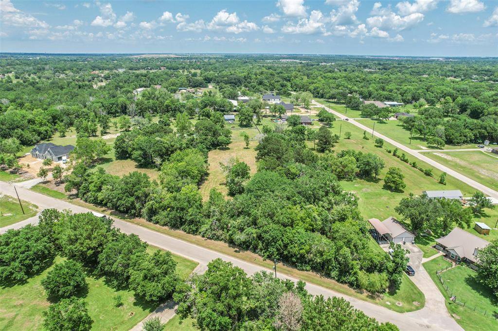 Hitchcock, TX 77563,TBD Pigeon