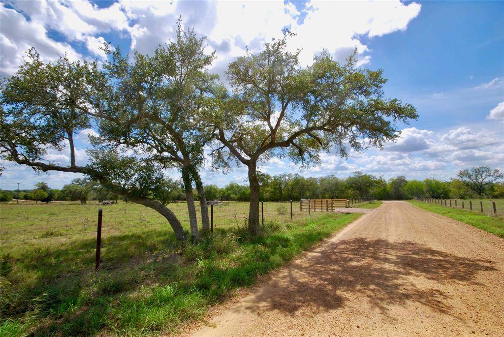 Hallettsville, TX 77964,1007 County Road 380