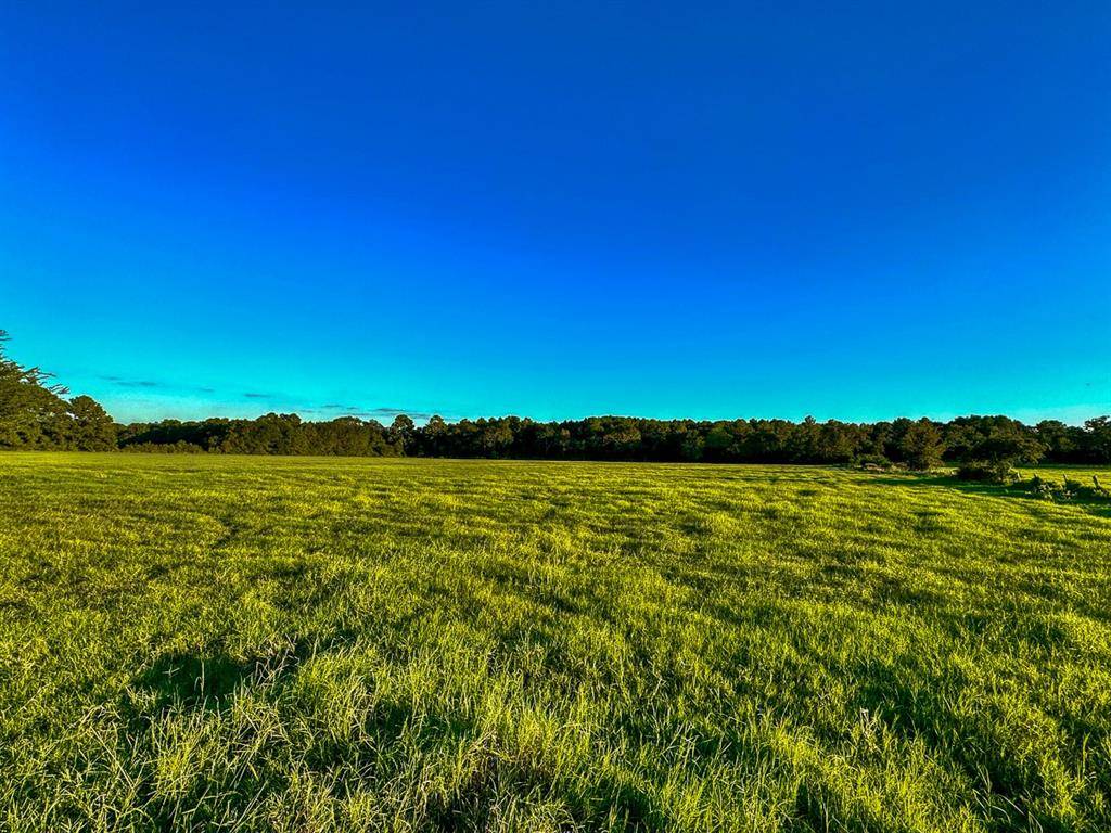 Richards, TX 77873,5 Hoke Road