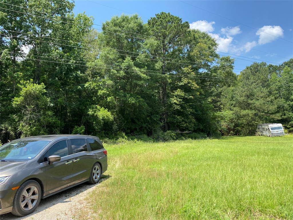 Livingston, TX 77351,Lot 23 Plum Pudding RD