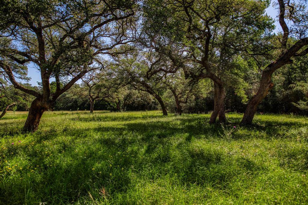 Round Top, TX 78954,330 N Nassau RD