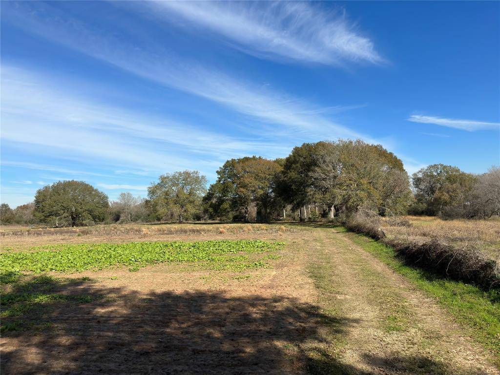 Pattison, TX 77423,39592 Garrett RD