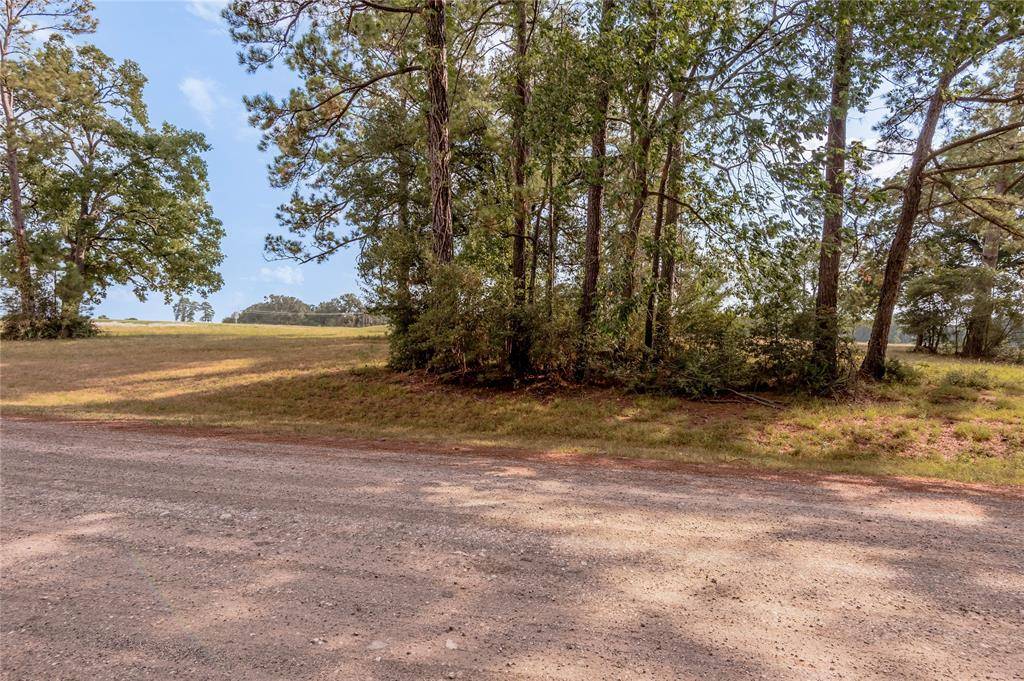 Trinity, TX 75862,Lot 2C Charleston ST