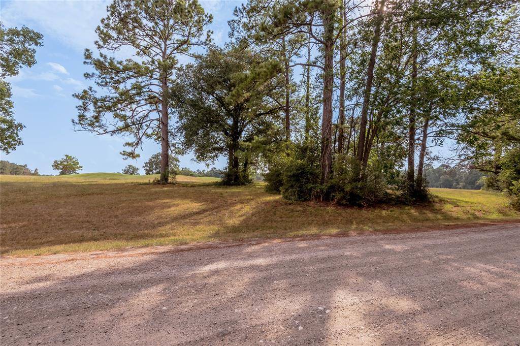 Trinity, TX 75862,Lot 2C Charleston ST