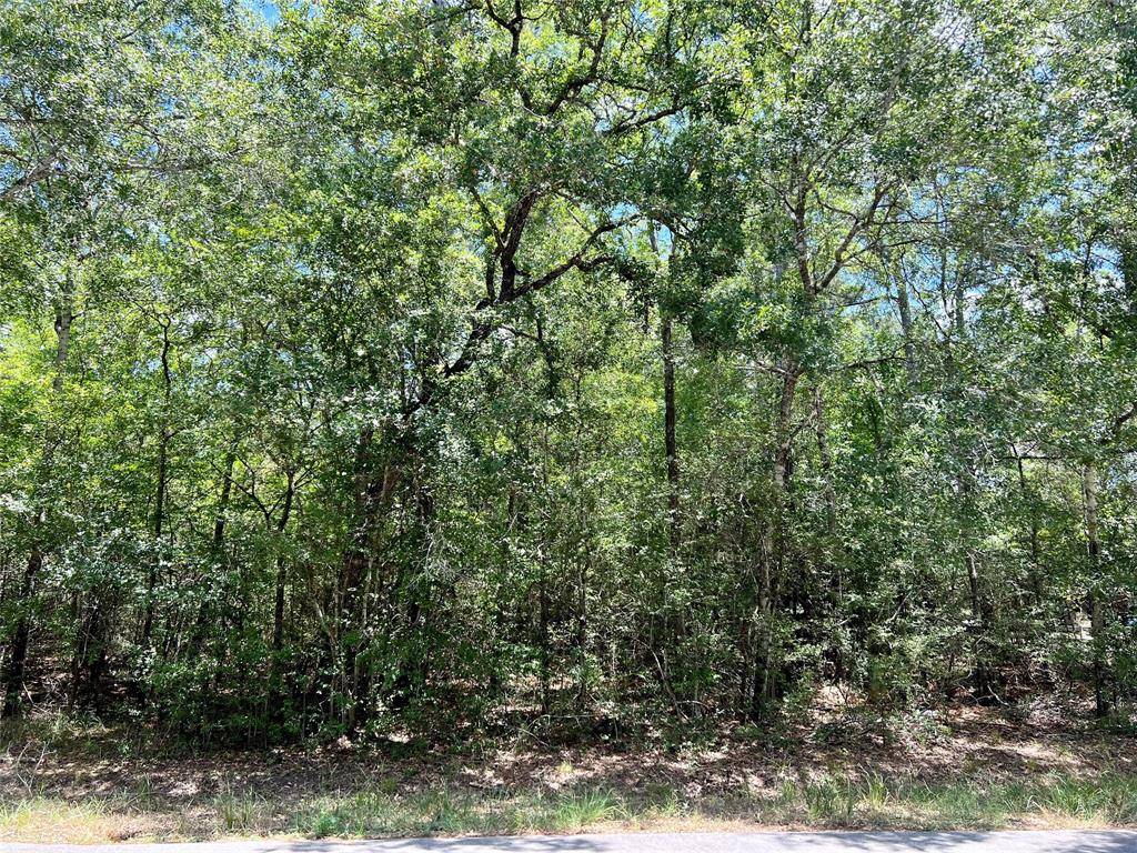 Magnolia, TX 77354,Lot 73 Glynwood DR