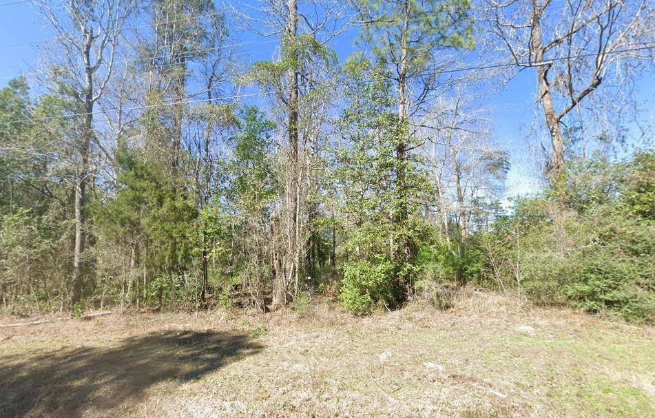Ivanhoe, TX 75979,0 Durwood DR