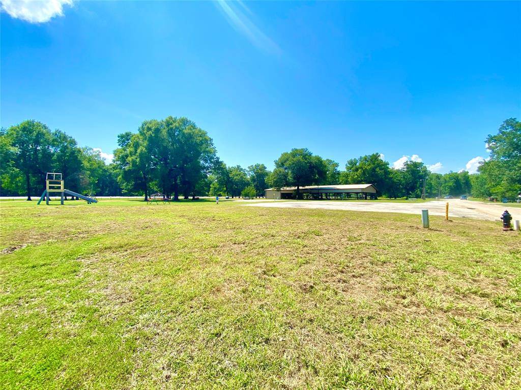 Livingston, TX 77351,250 Knottypine