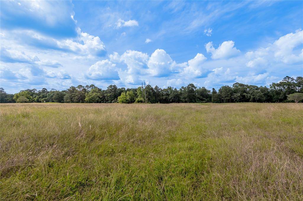 Trinity, TX 75862,Lot 2 Richmond CIR