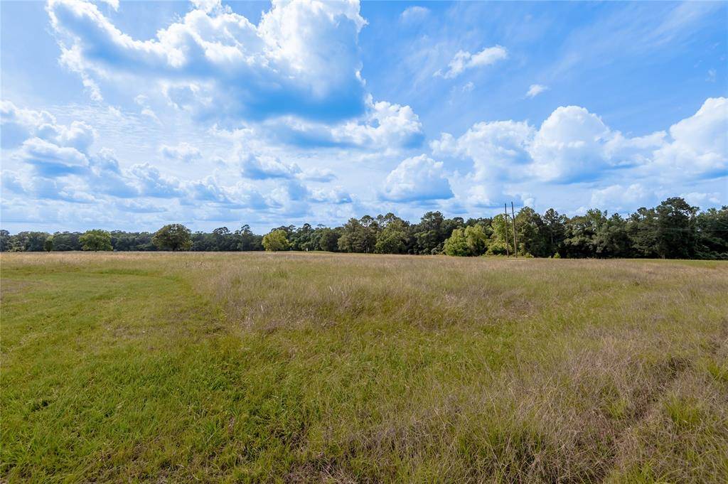 Trinity, TX 75862,Lot 2 Richmond CIR