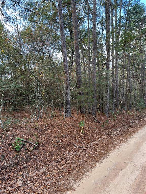 Kennard, TX 75847,5460 County Road 4545 Tract 2