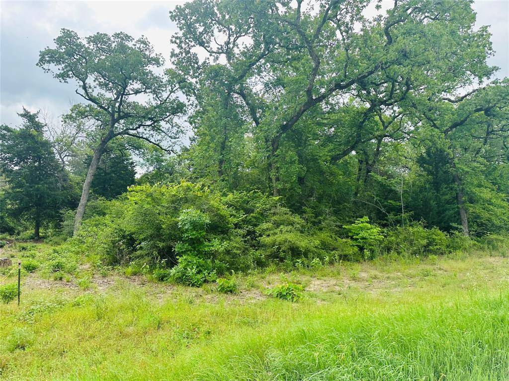 Buffalo, TX 75831,LOT 7 - 3AC County Road 2751