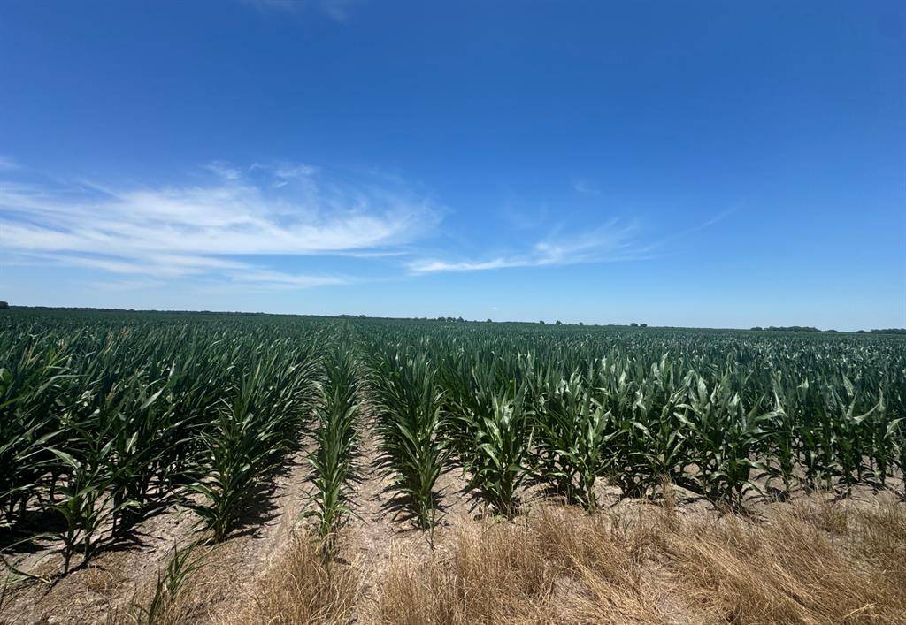 Louise, TX 77455,TBD Cr 335 RD
