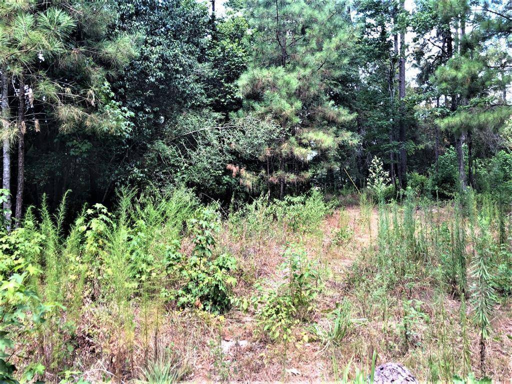 Coldspring, TX 77331,Lot 217 Mallard DR