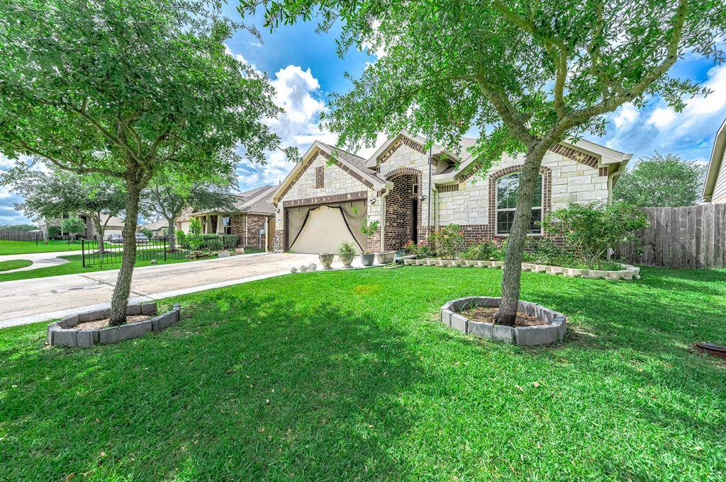 Dickinson, TX 77539,3050 Coreopsis CT