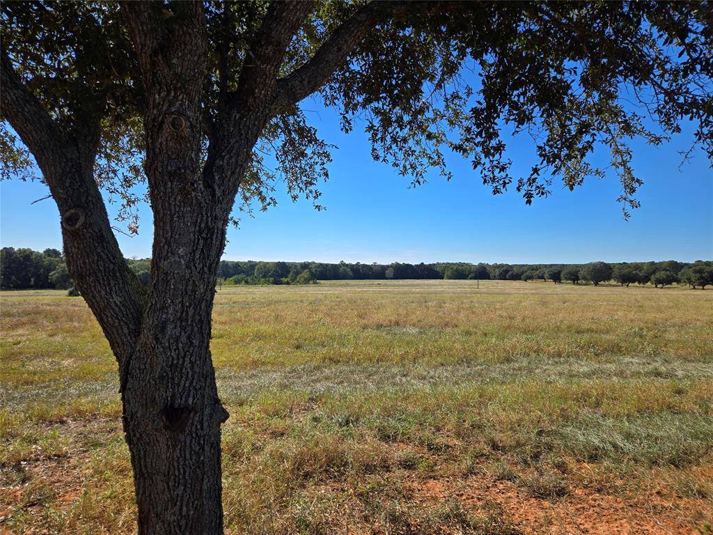 Hillister, TX 77624,Lot 103 Lakeland RD