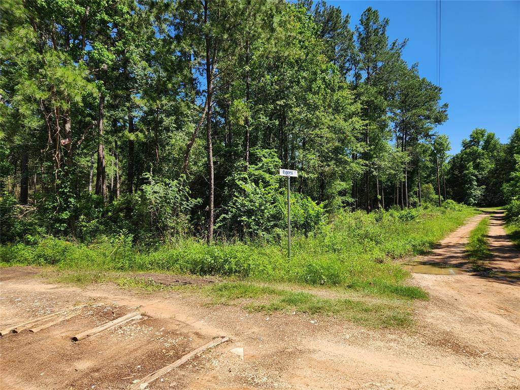 Plantersville, TX 77363,Lot 10 Cypress CT