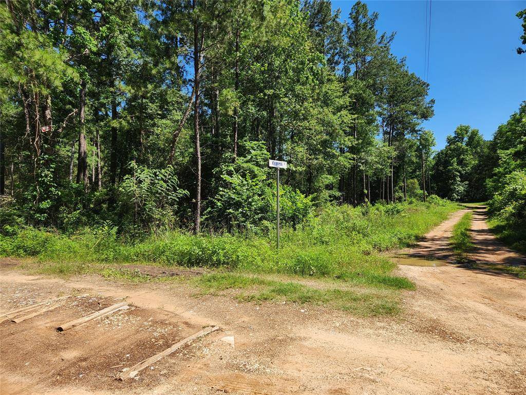 Plantersville, TX 77363,Lot 10 Cypress CT