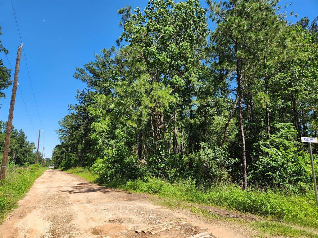 Plantersville, TX 77363,Lot 10 Cypress CT