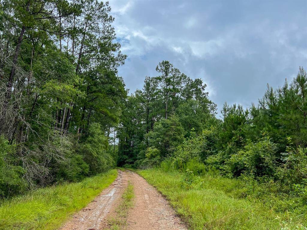 Groveton, TX 75845,T48 Easement Road off FM 355