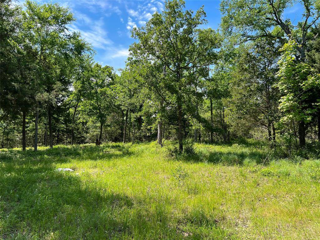 Jewett, TX 75846,TBD CR 368