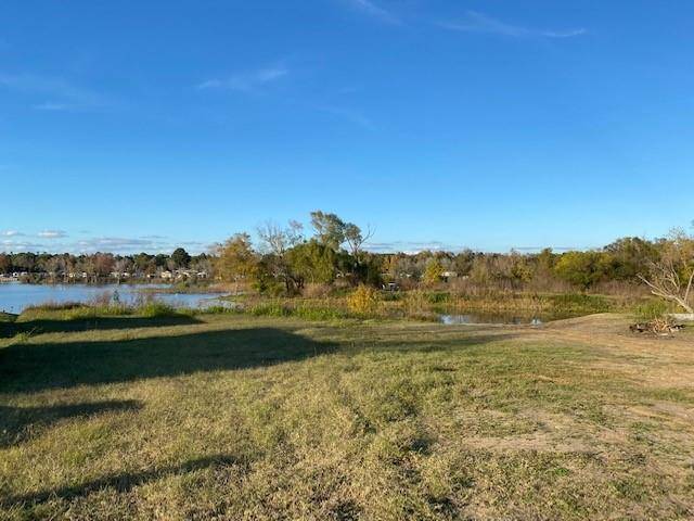 Willis, TX 77318,00 Enchanted Vista