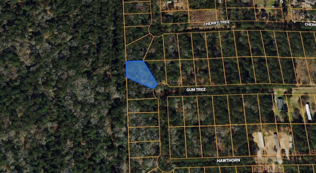 Plantersville, TX 77363,Lot 28 Gum Tree LN