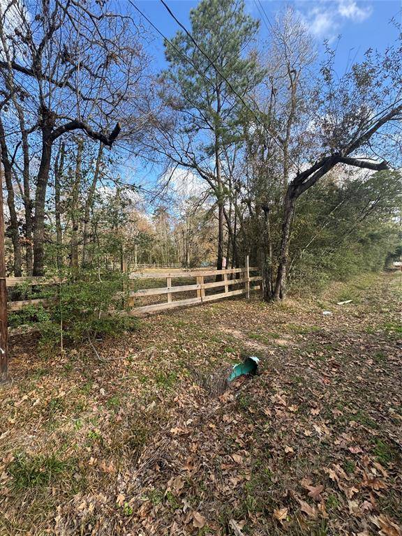 Spring, TX 77386,29520 Wildfern Trail