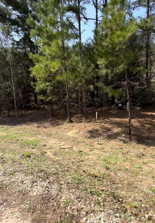 Livingston, TX 77351,Lot 74 & 75 Westridge PARK