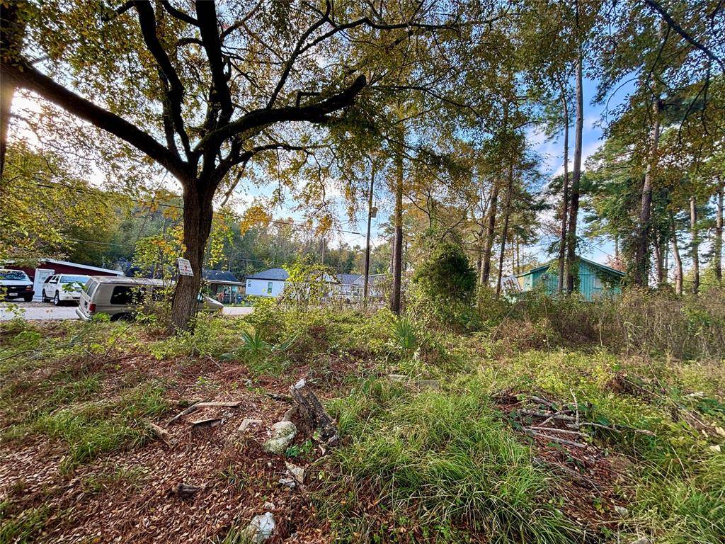 Willis, TX 77318,Lot 1 Walkwood DR