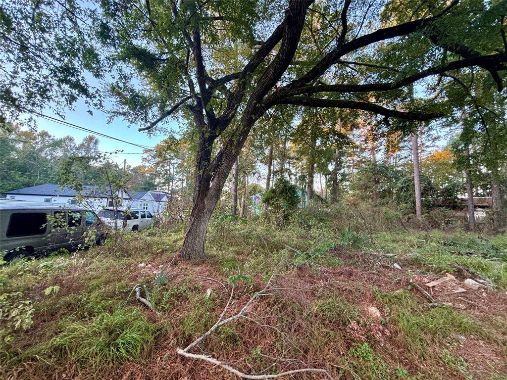 Willis, TX 77318,Lot 1 Walkwood DR