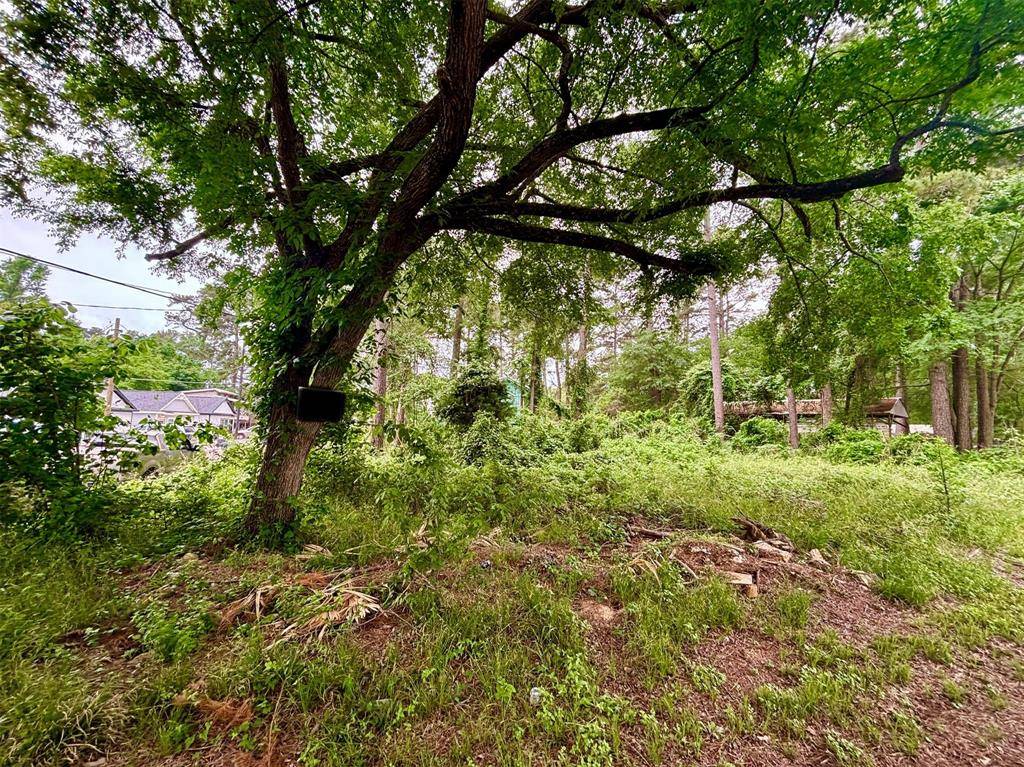 Willis, TX 77318,Lot 1 Walkwood DR