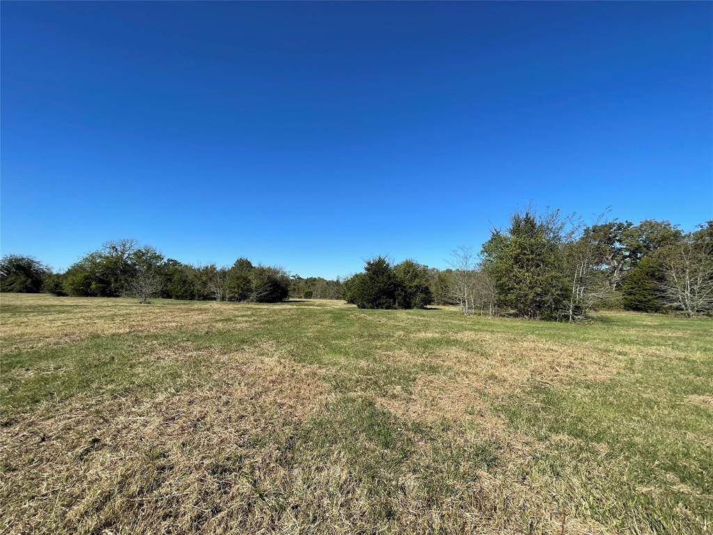 Fairfield, TX 75840,TBD Tract 1 FCR 445