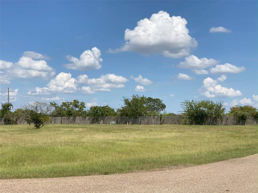 Hockley, TX 77447,13402 Whispering Sage DR