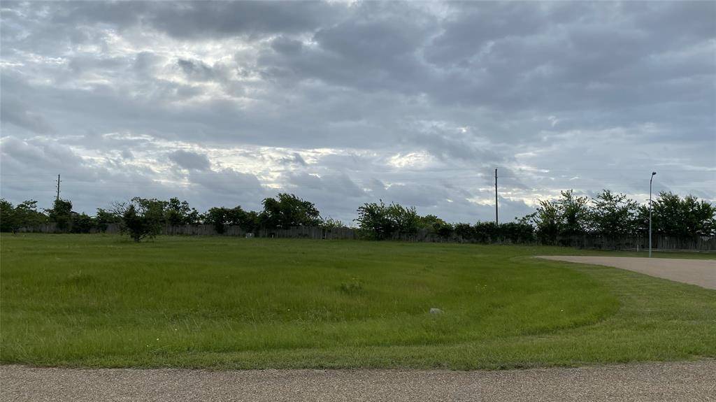 Hockley, TX 77447,13402 Whispering Sage DR