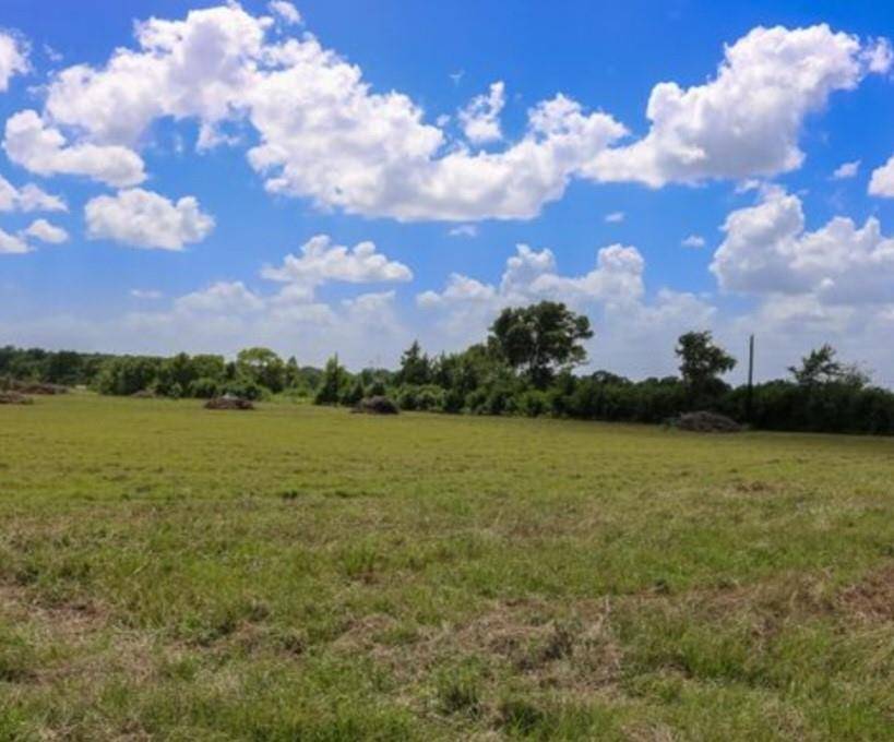 Anderson, TX 77830,Lot 2 County Road 219