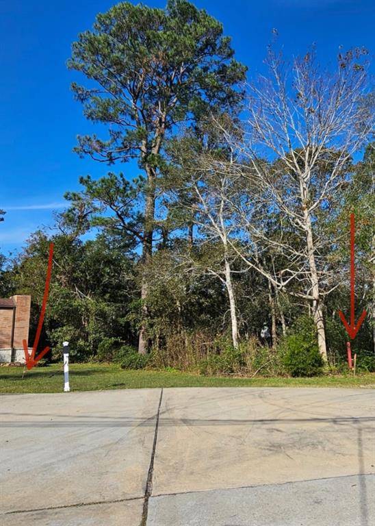 Dickinson, TX 77539,0 Pine LN