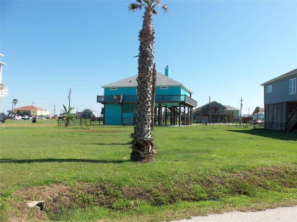 Crystal Beach, TX 77650,5 Driftwood