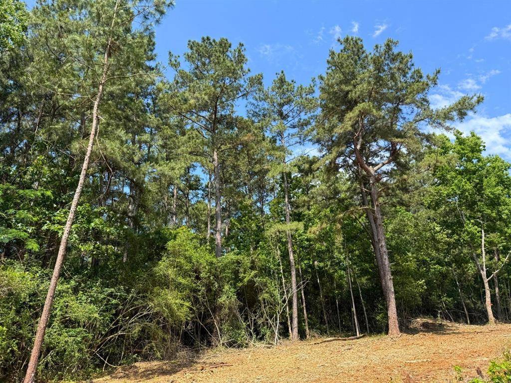 Livingston, TX 77351,5 Camp Ruby Road