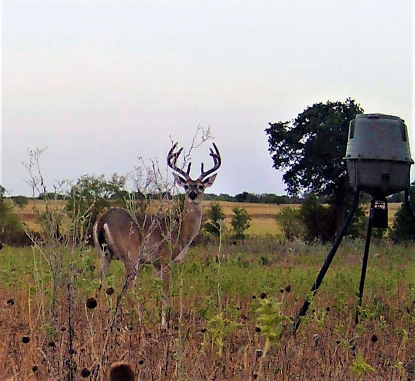 Rochelle, TX 76872,TBD Farm to Market 765