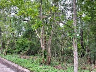 Coldspring, TX 77331,000 Cooper LN