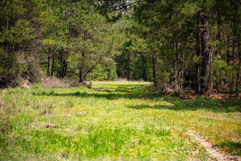 Bedias, TX 77831,TBD County Road 152