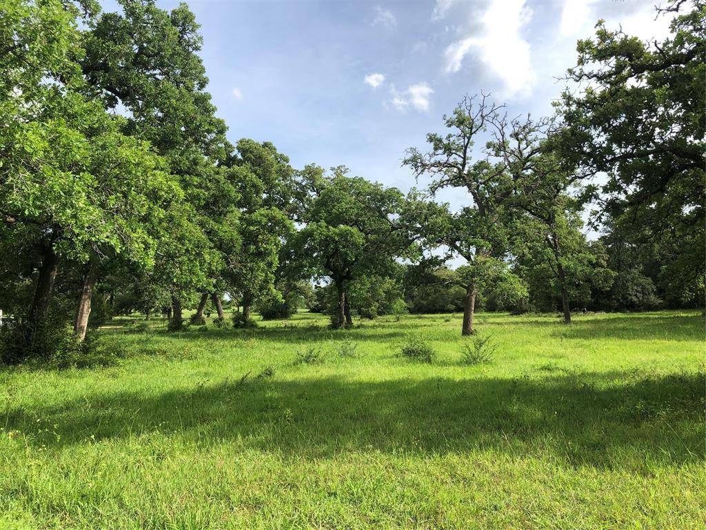 Hallettsville, TX 77964,TBD CR 130