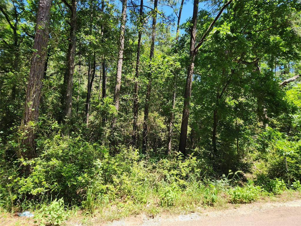 Plantersville, TX 77363,Lot 74 Pinebrook DR