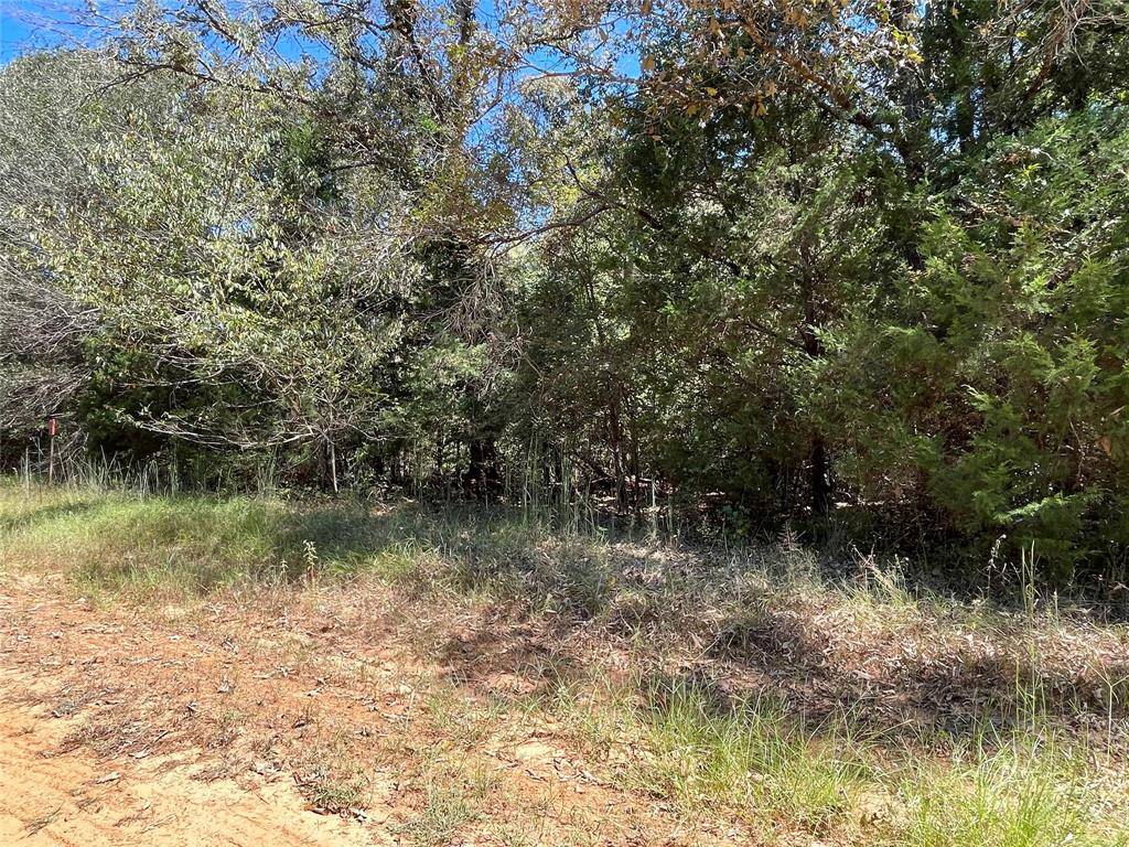 Oakwood, TX 75855,TBD FCR 361