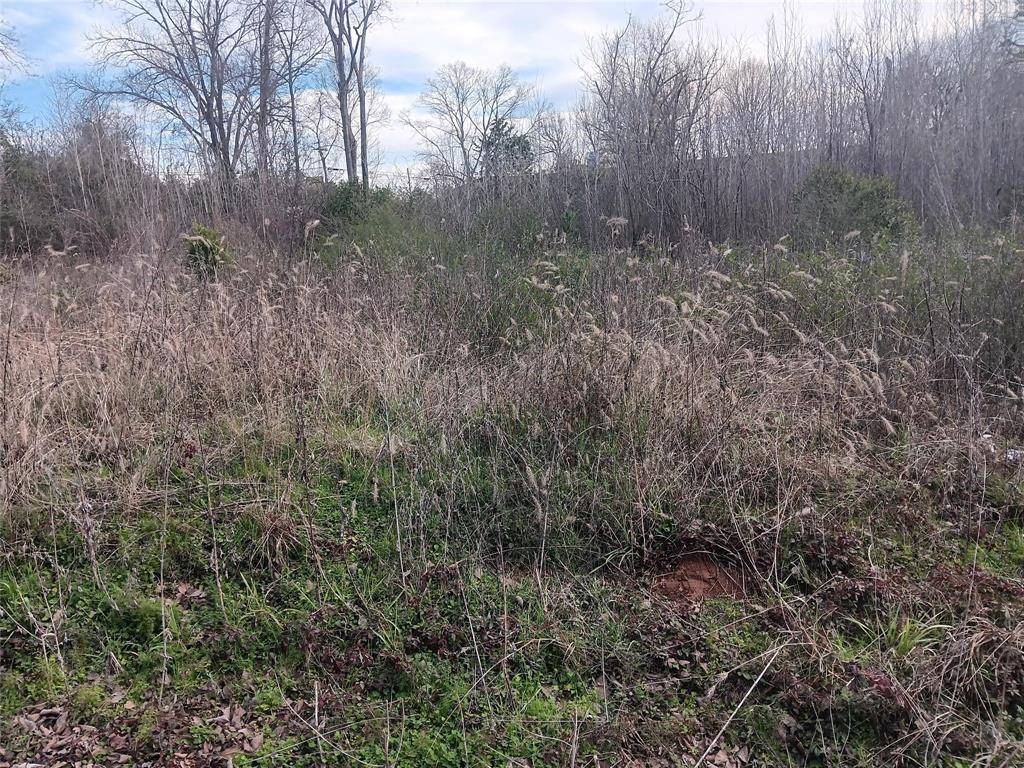 Palestine, TX 75803,1606 W Eilenstein ST
