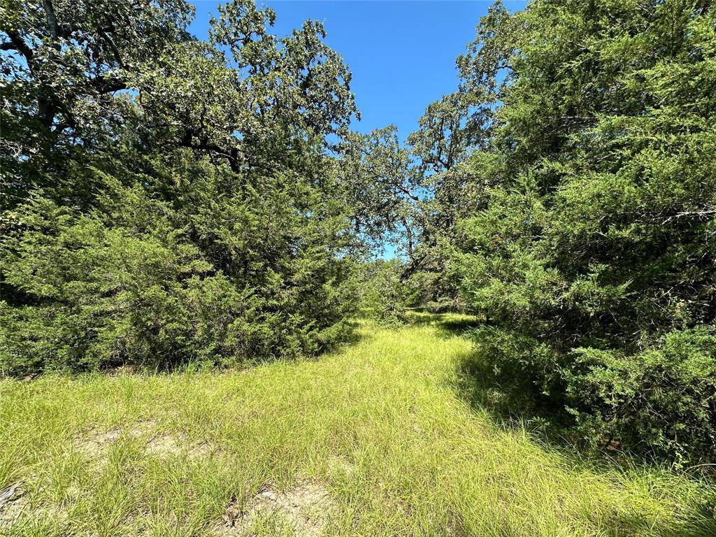 Centerville, TX 75833,TBD Tract #1 County Road 481