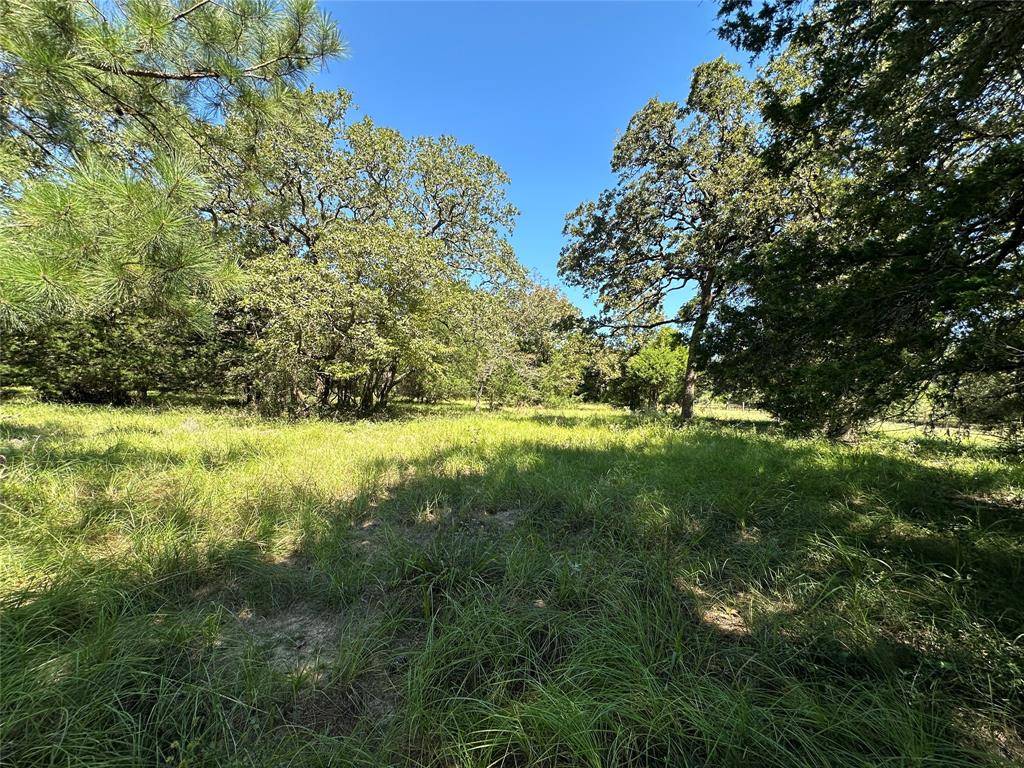 Centerville, TX 75833,TBD Tract #1 County Road 481