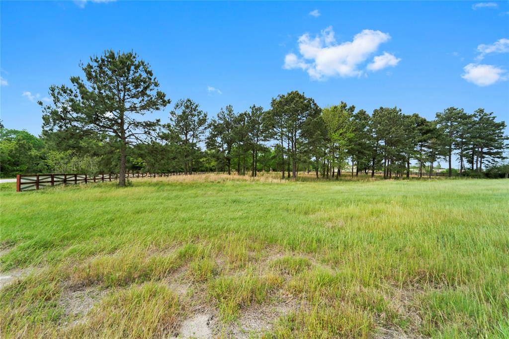 Tomball, TX 77375,0000 Lizzie LN