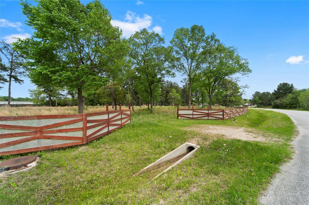 Tomball, TX 77375,0000 Lizzie LN